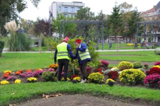 A început campania de plantare de toamnă în Constanța