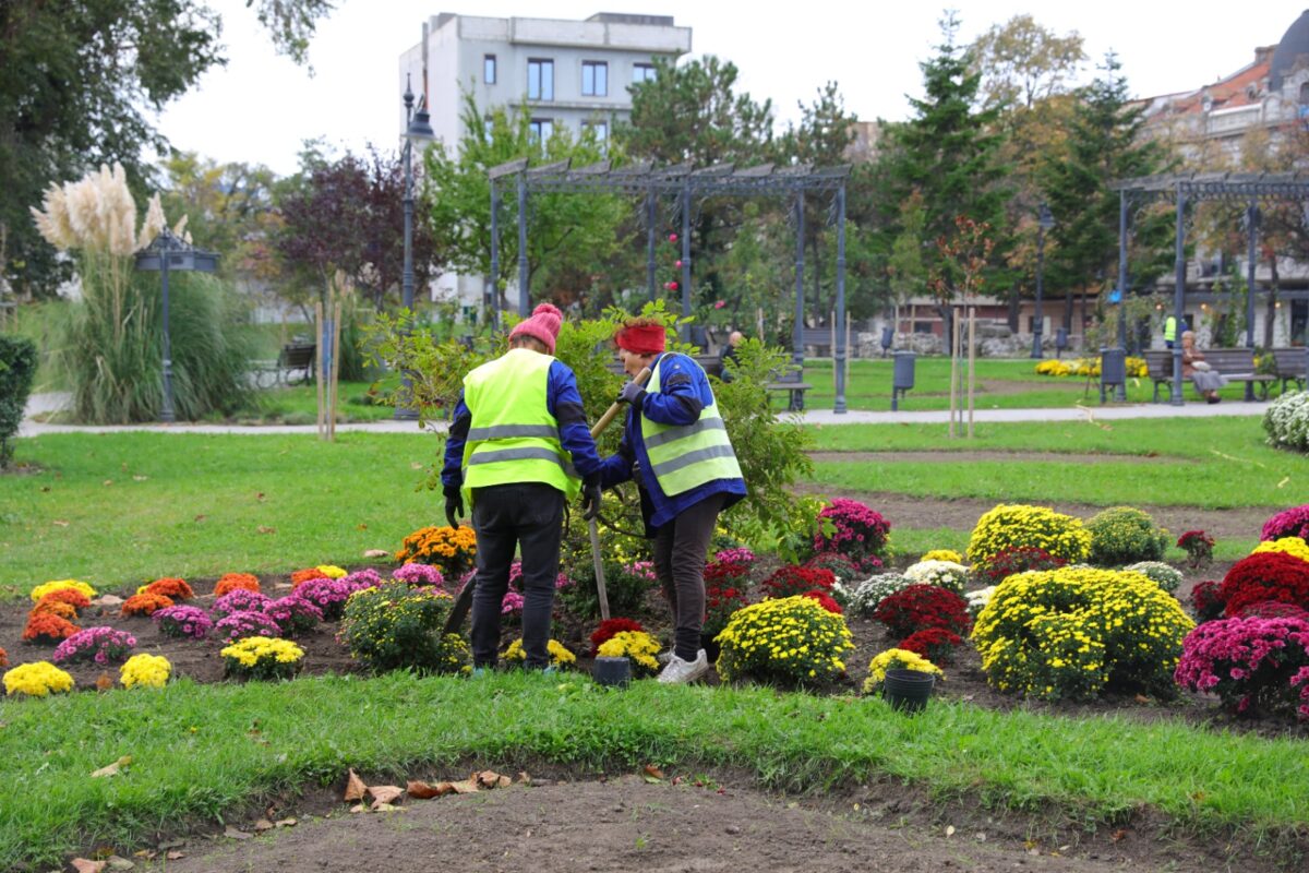 A început campania de plantare de toamnă în Constanța